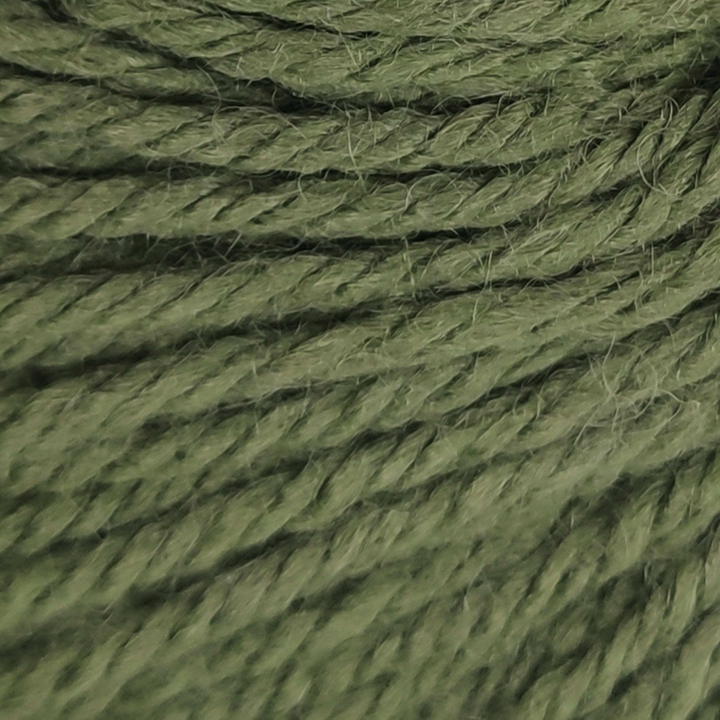 Verde Salvia - 1373
