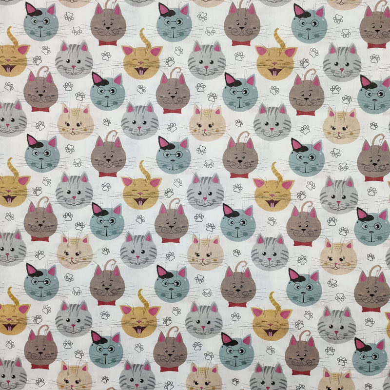 Tessuto di cotone gattini (2)