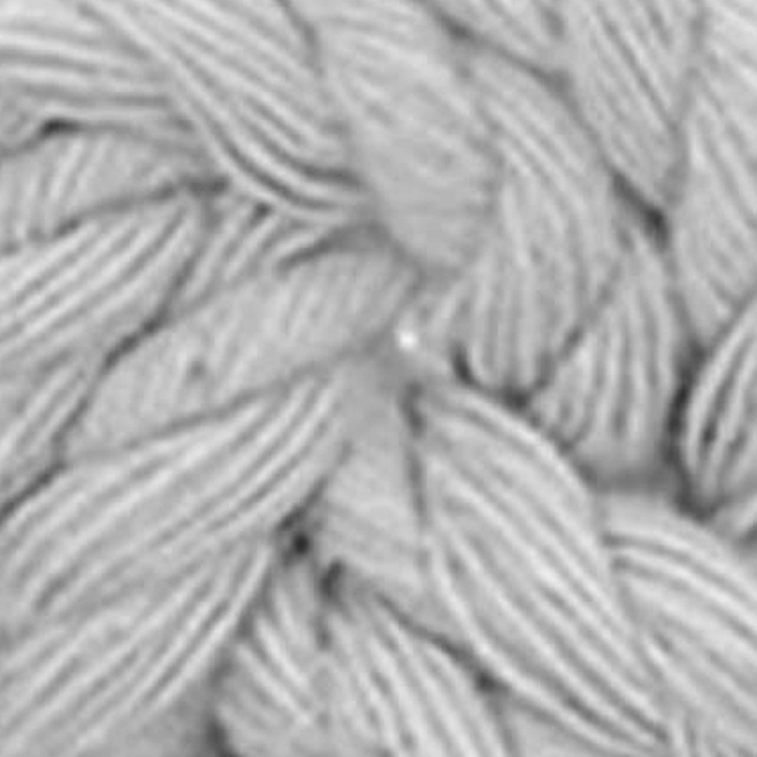 Grigio - 112
