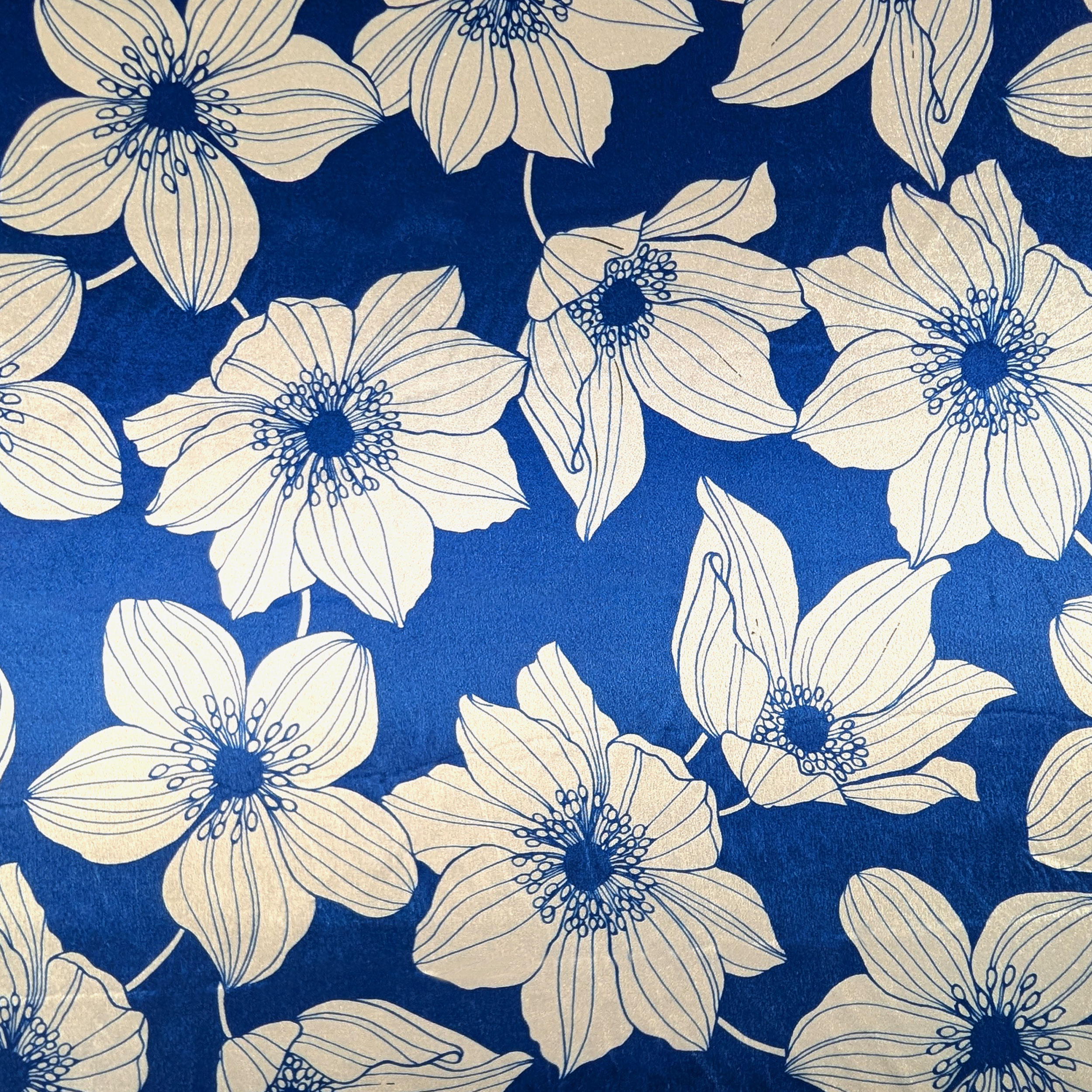 Vellutina Bluette Fiori Moda Bianchi Image