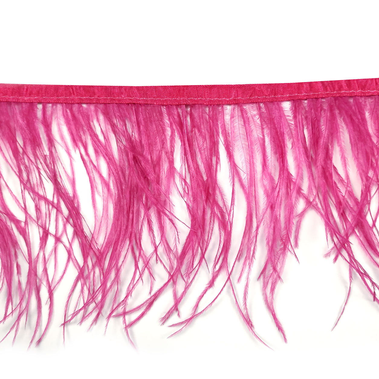 Fuxia