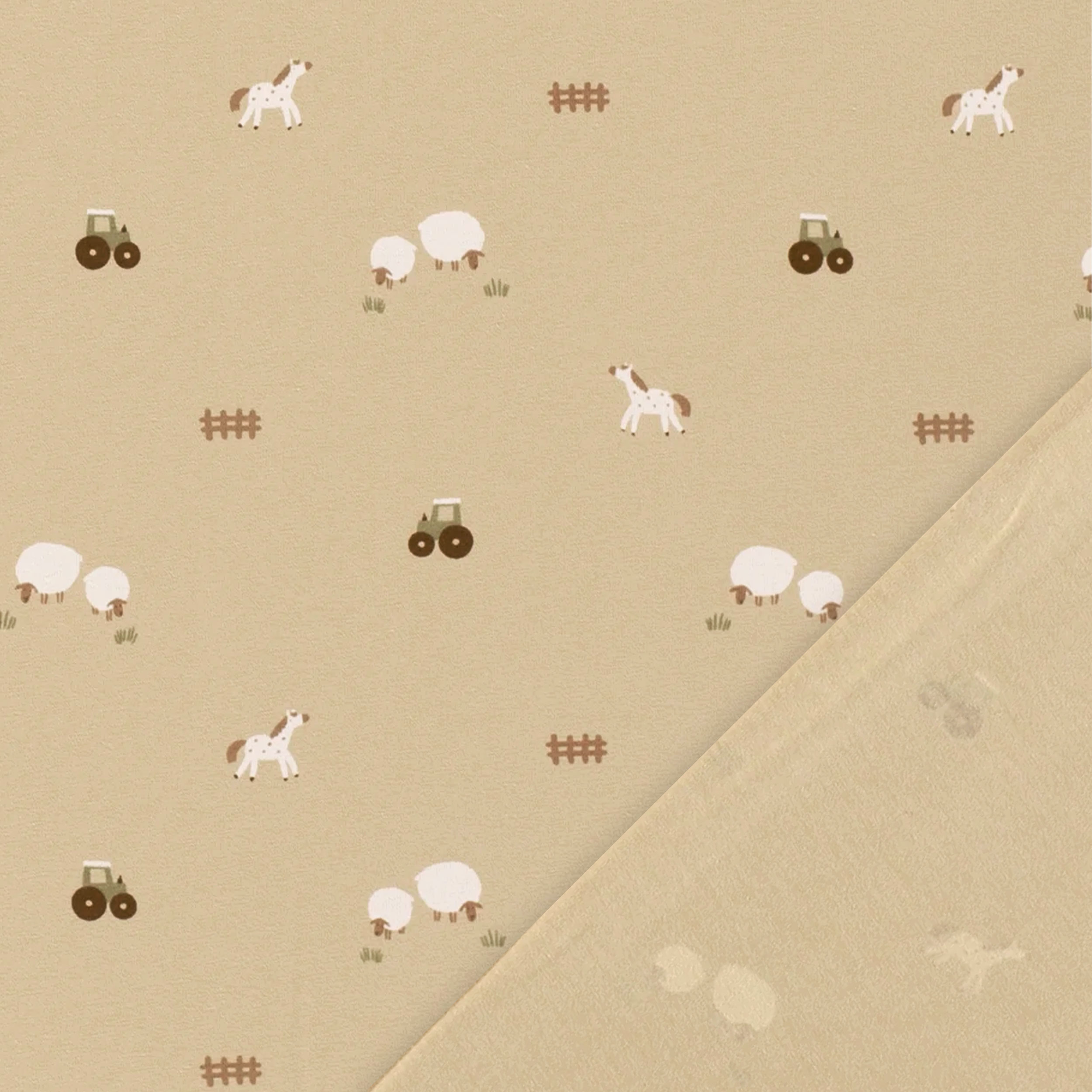 Maglina Cotone Fattoria Sfondo Beige
