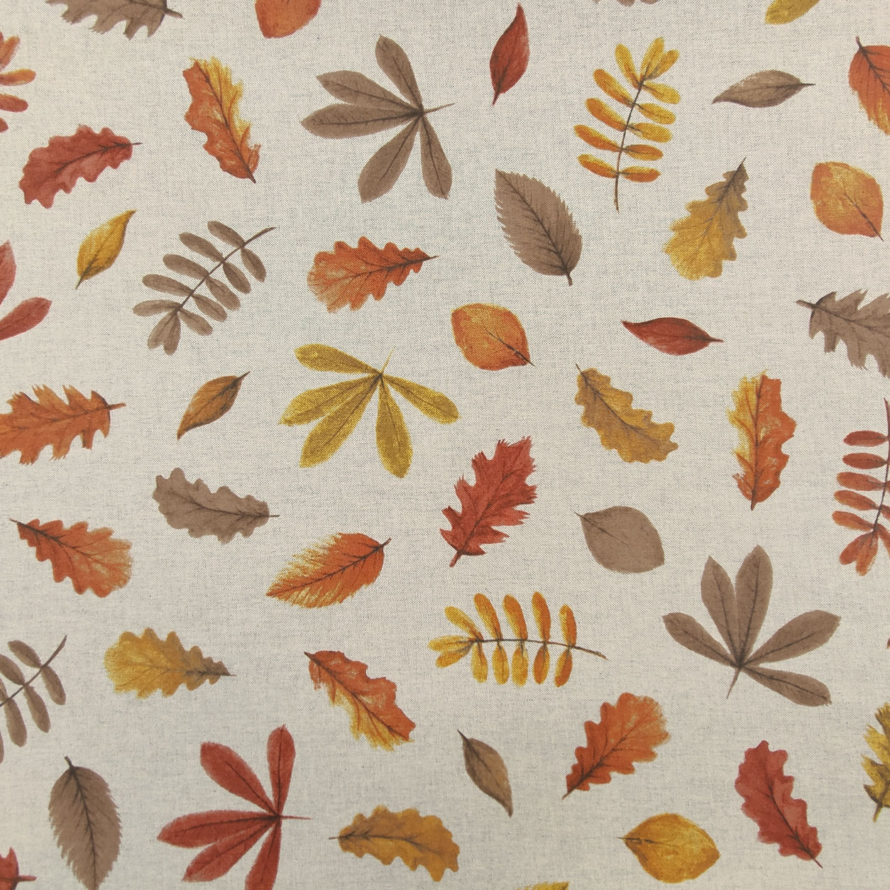 Tovaglia, Fantasia Fiori Messicani, 100% Cotone, 140x240 Cm - Foto 11