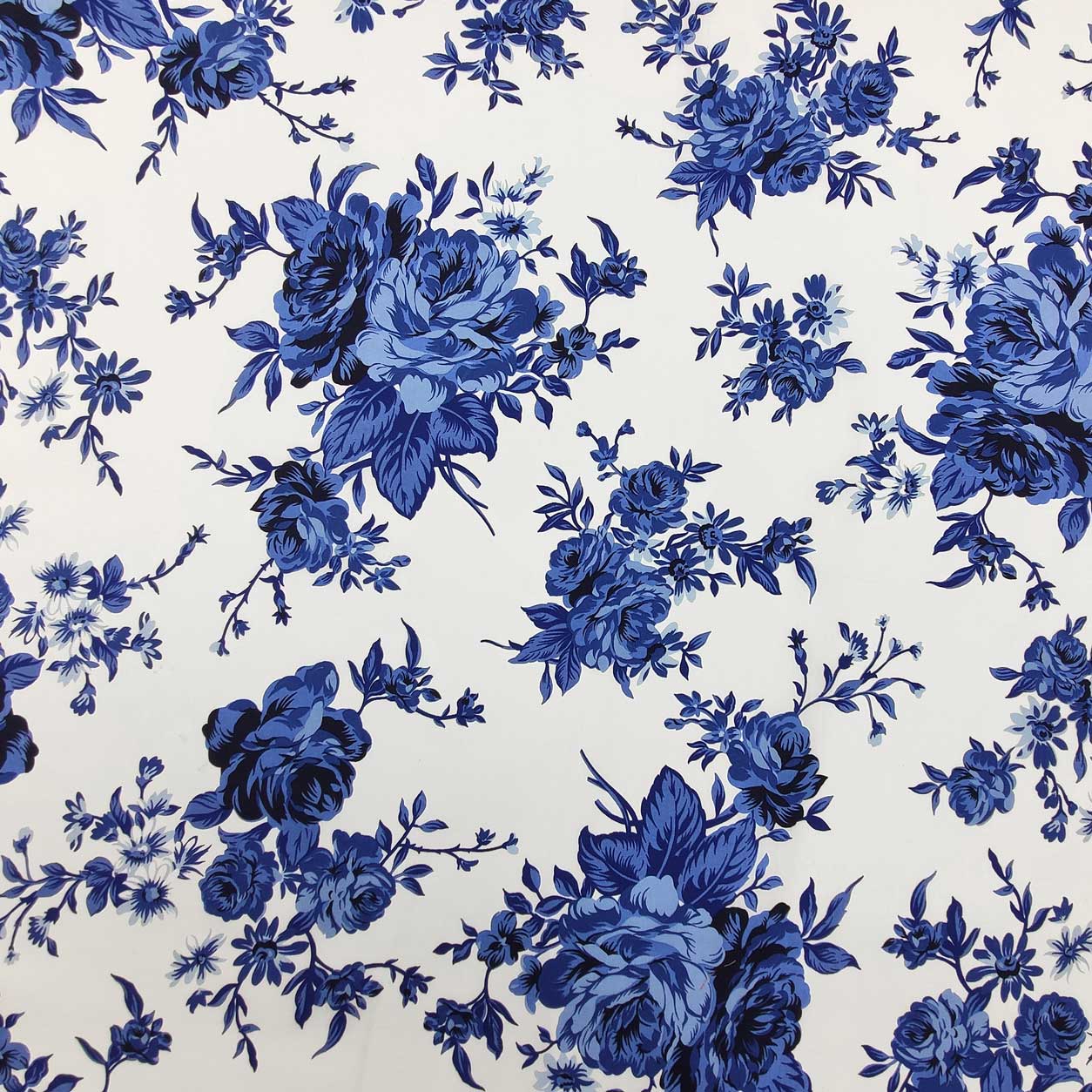 Cotone fantasia rose blu sfondo bianco (1)