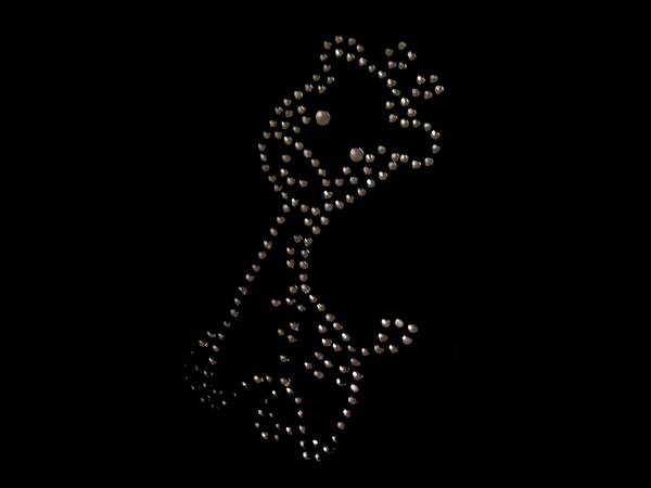 applicazione-strass-giraffa