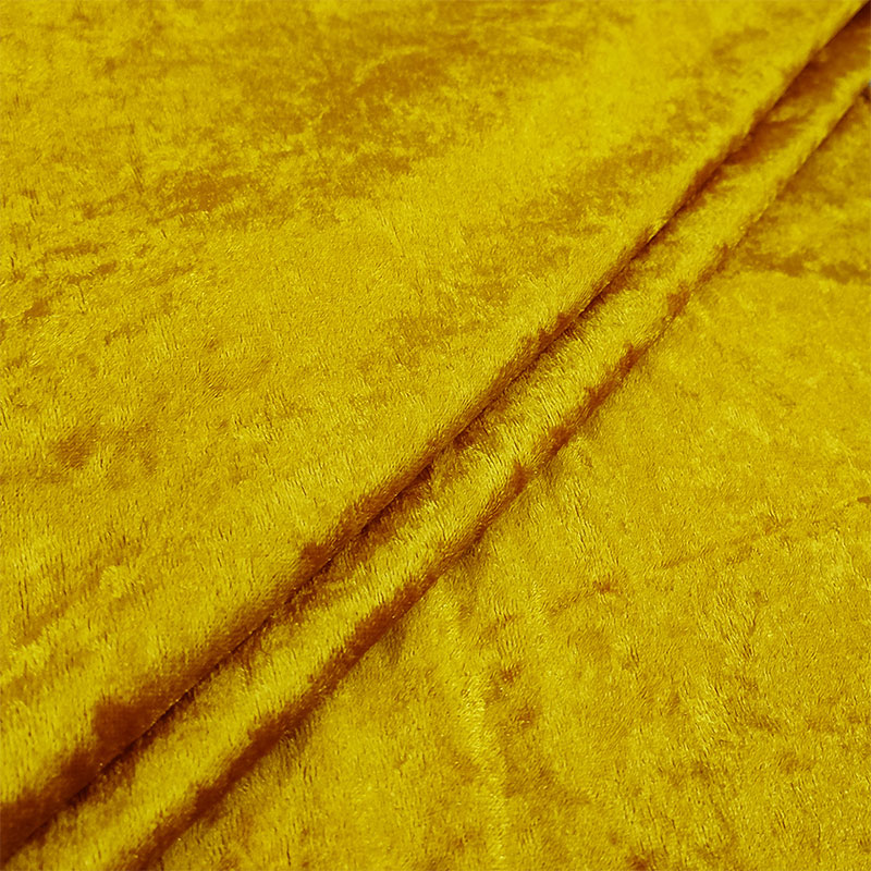 Ciniglia Senape  1
