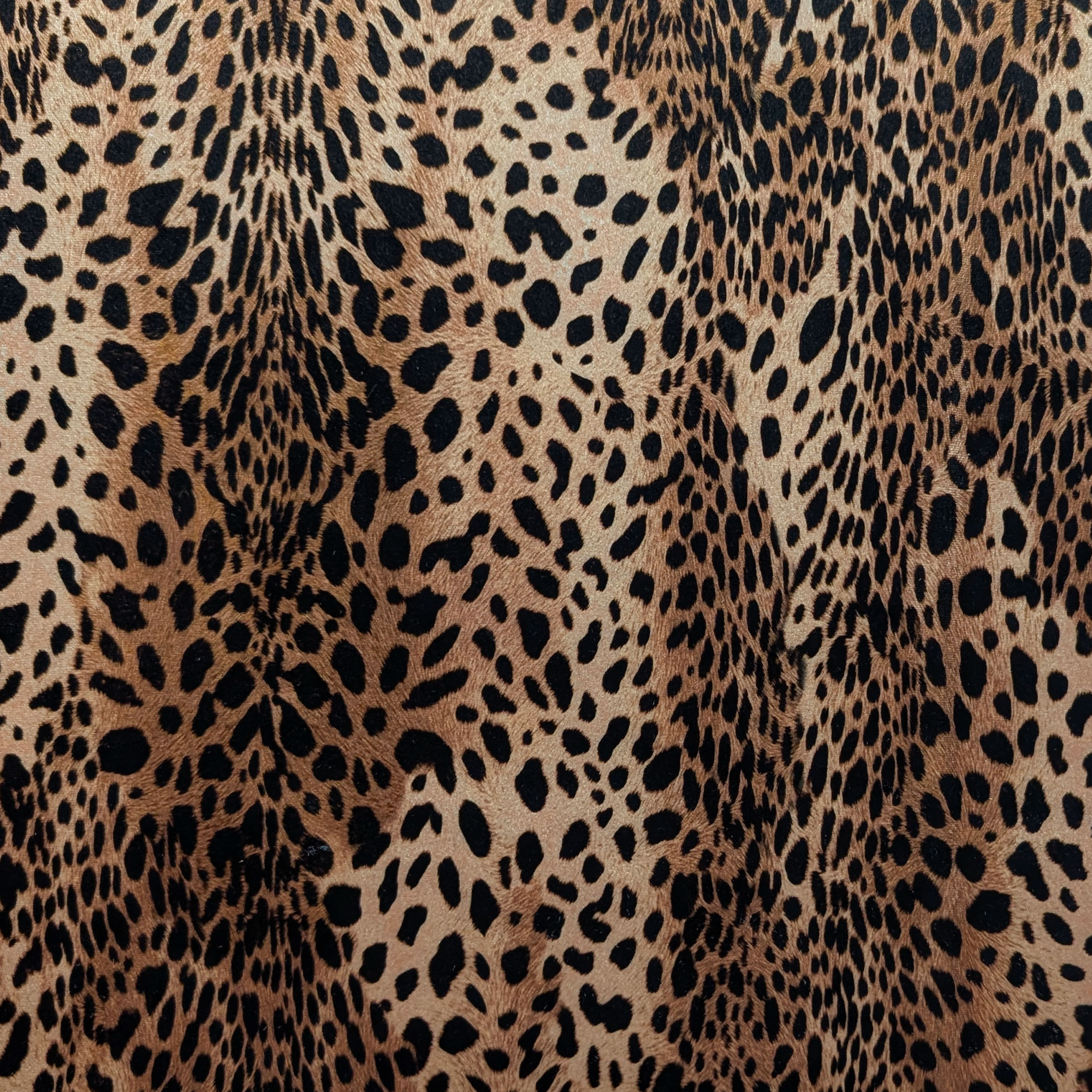 Vellutina Setata Moda Leopardata Image