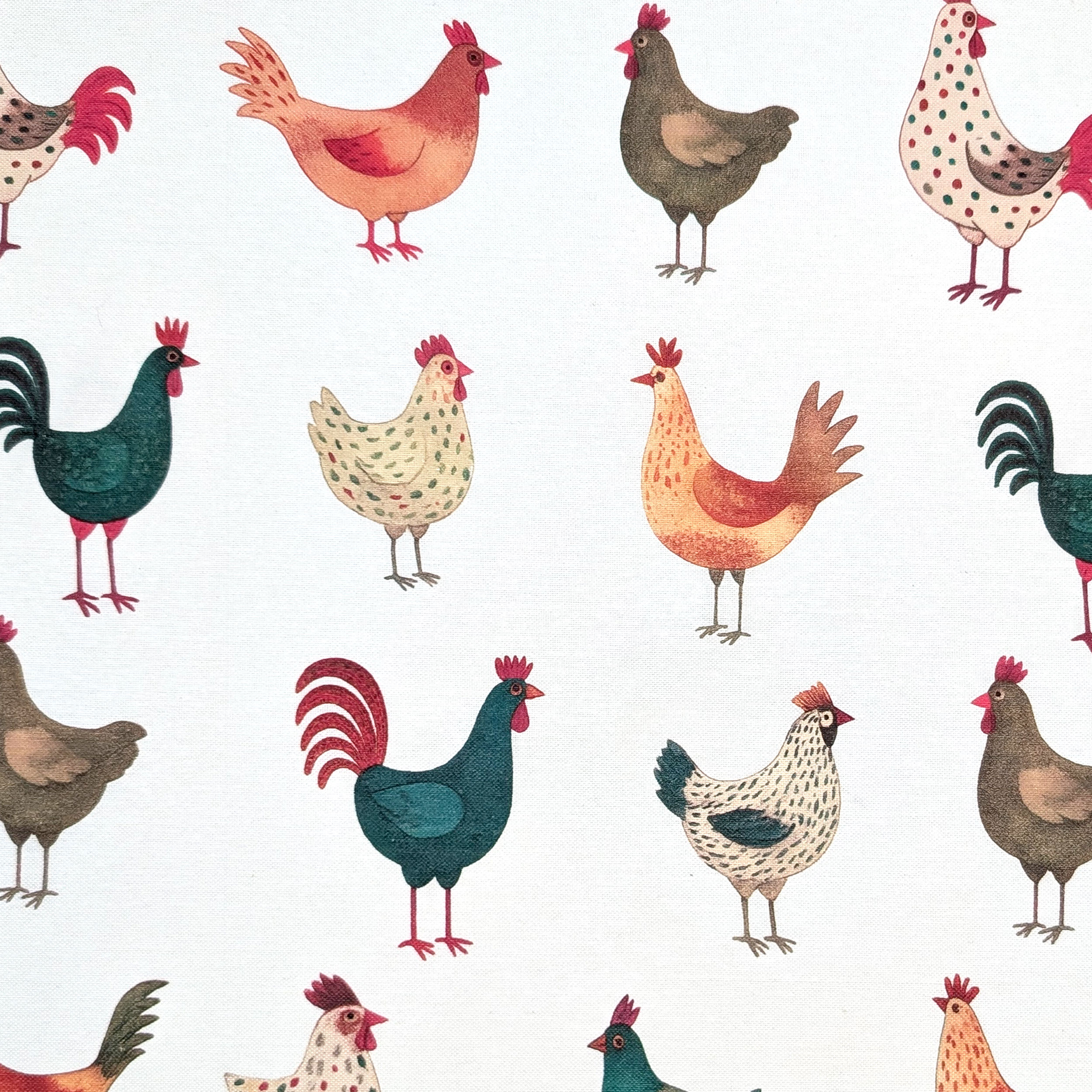 Panama Puro Cotone Bianco Galline Image