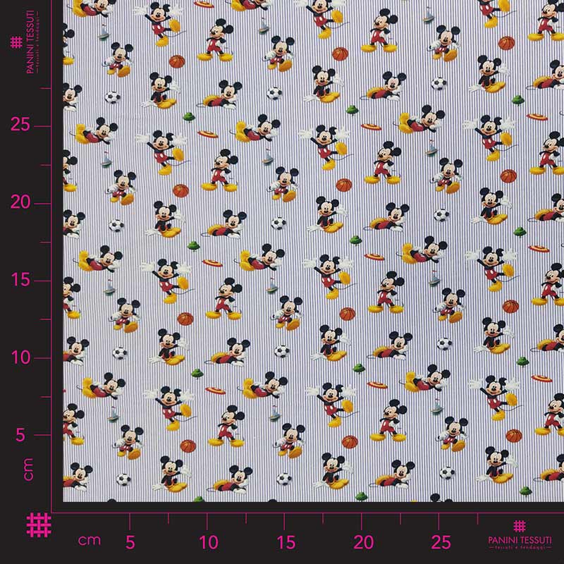 Fantsia topolino mini
