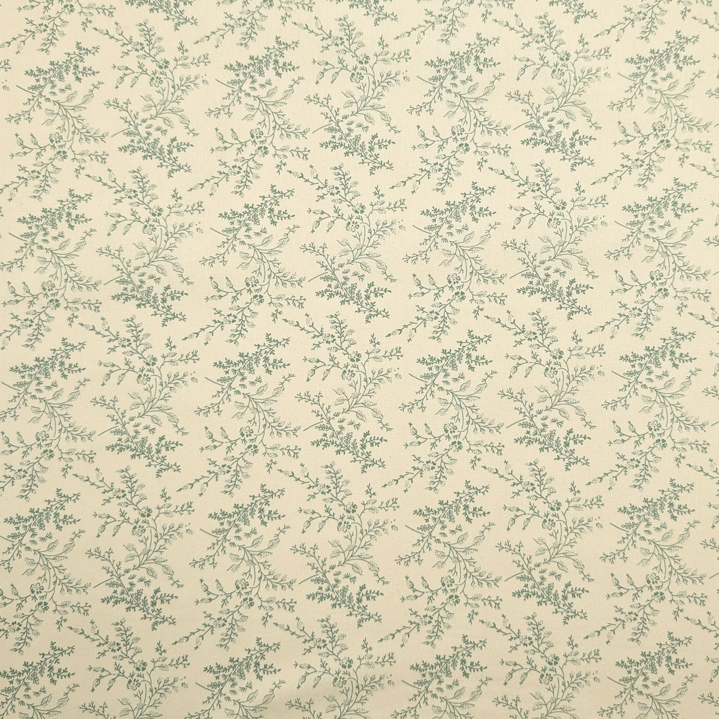Popeline Cotone Stampa Vintage Rami e Fiori Verdi Image