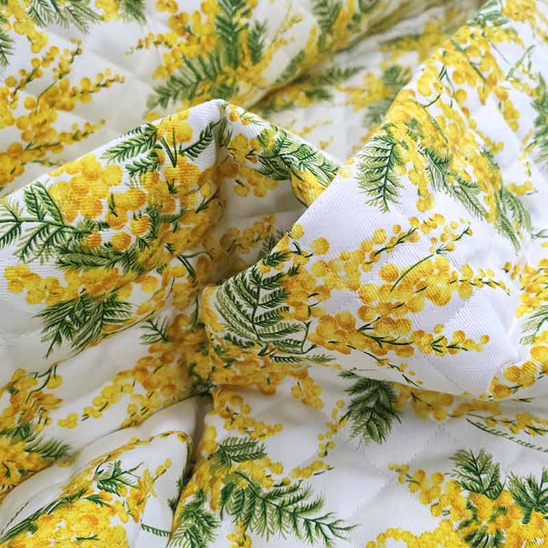 trapuntato-mimose