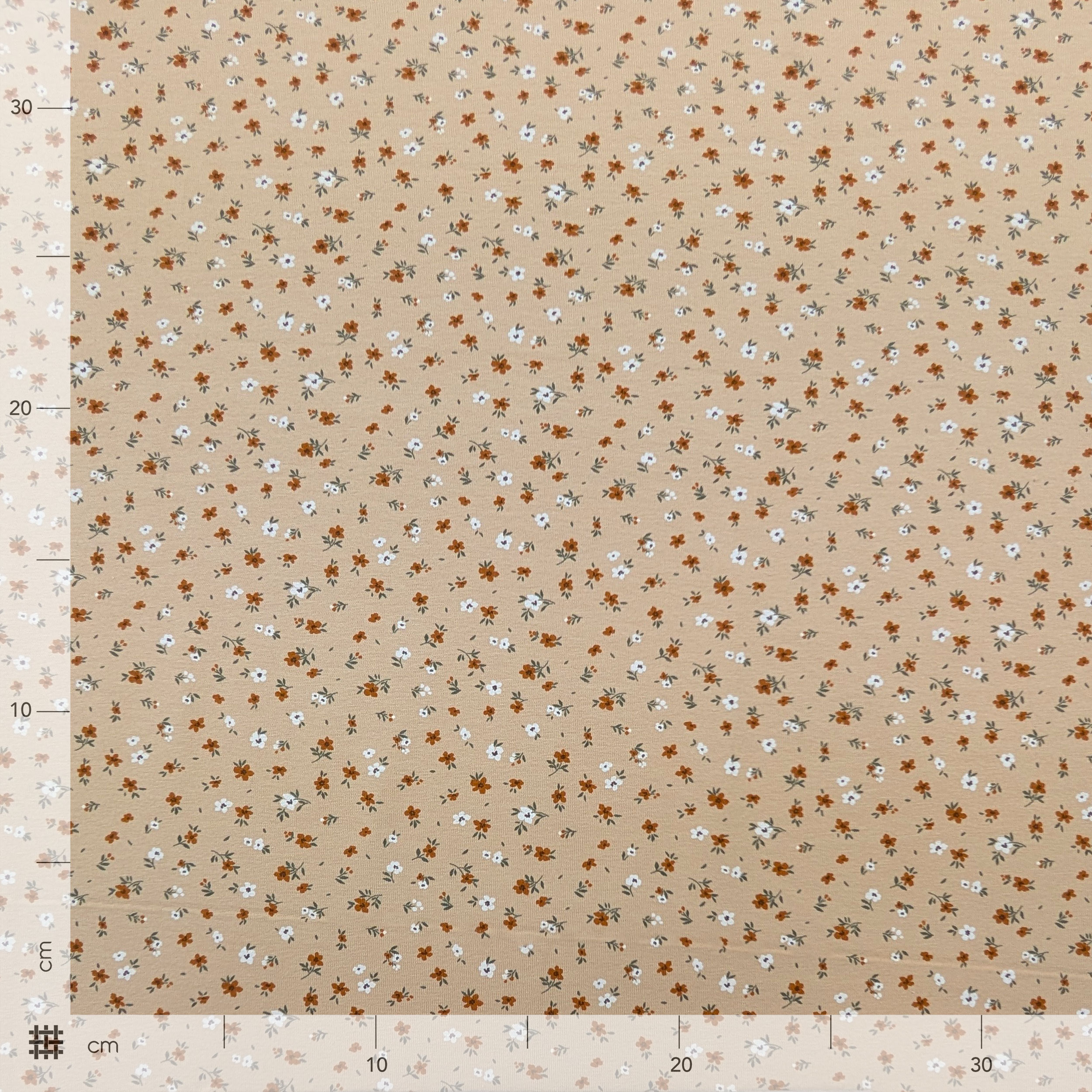 Jersey Cotone Beige Fantasia Fiorellini Image