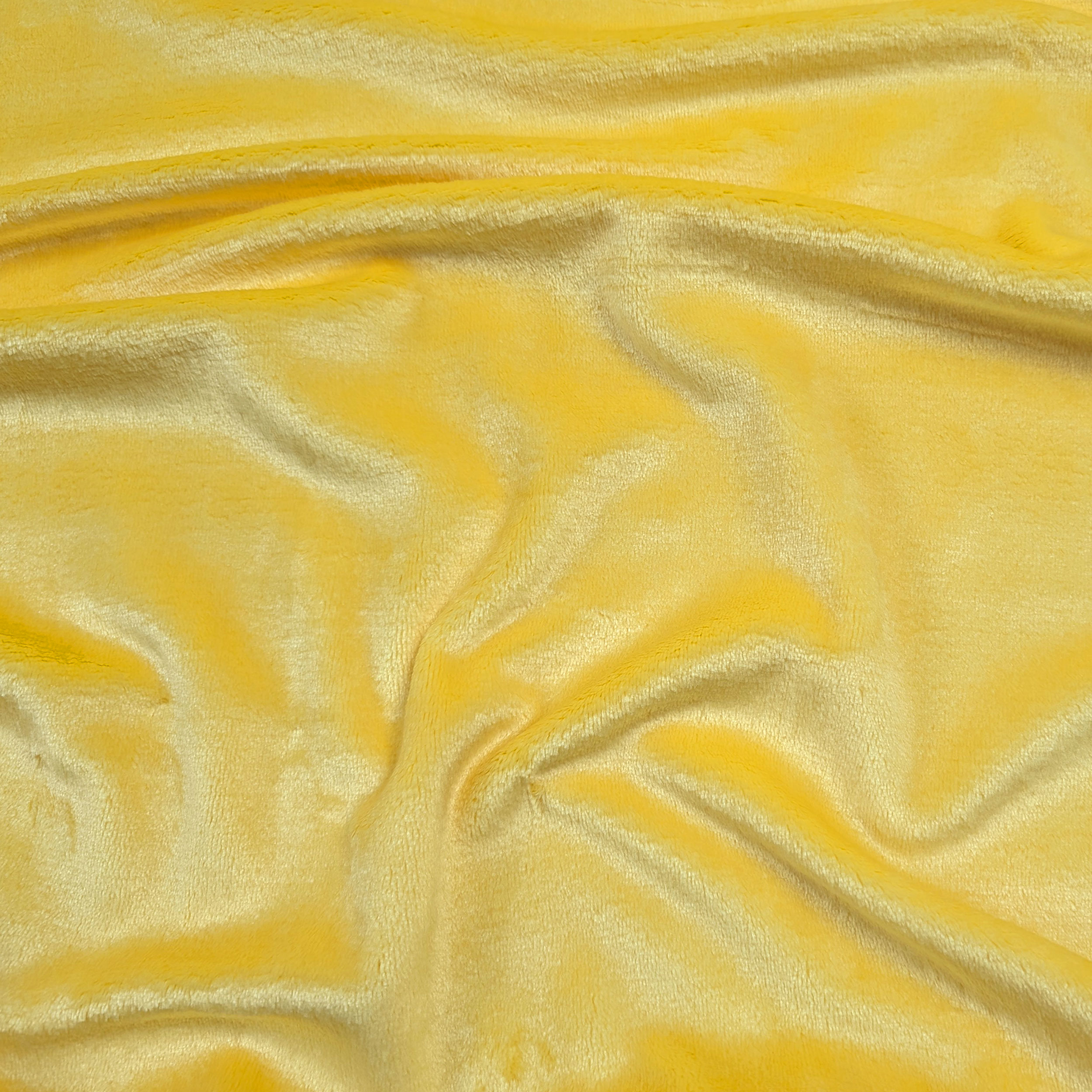Giallo - D096