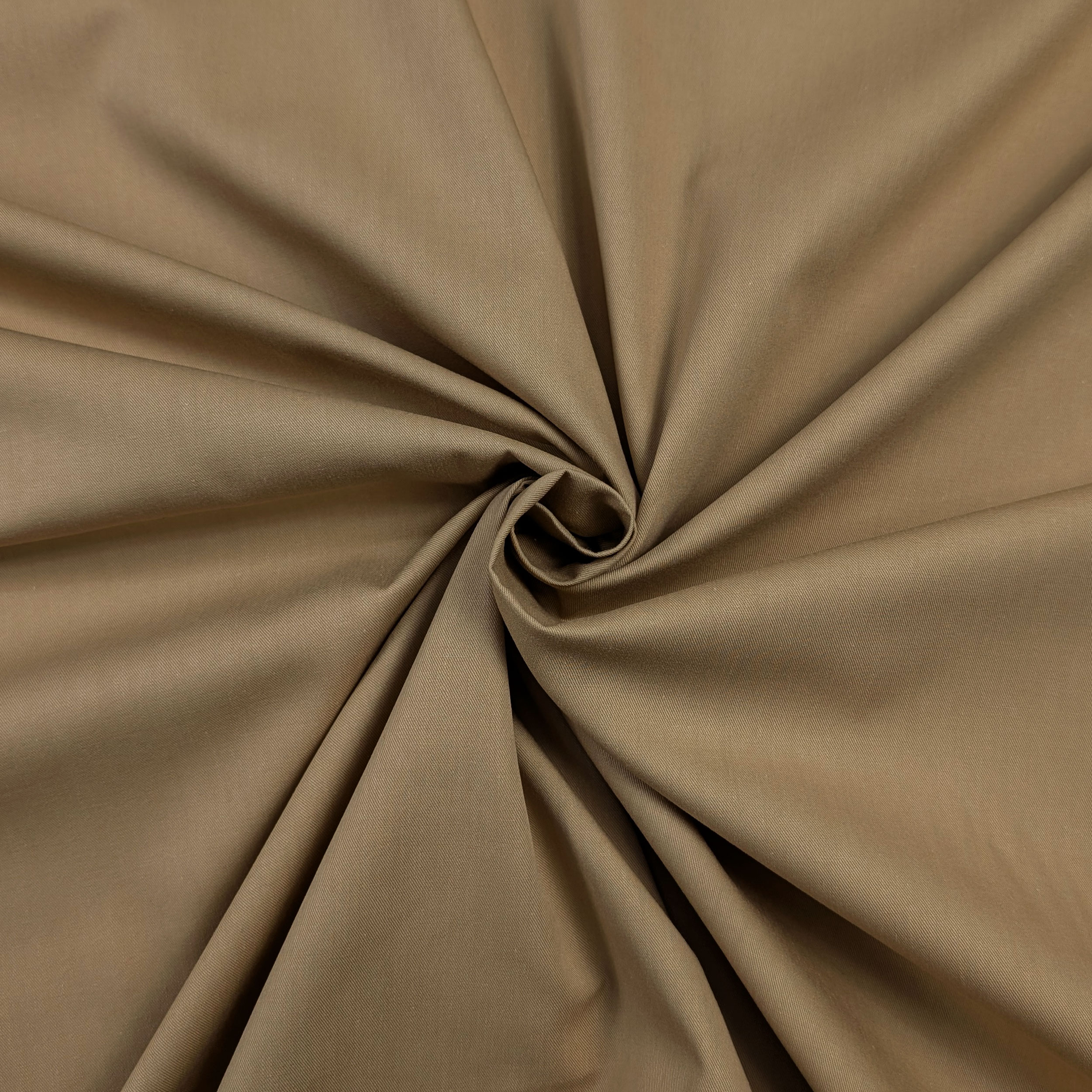 Cotone Beige Image