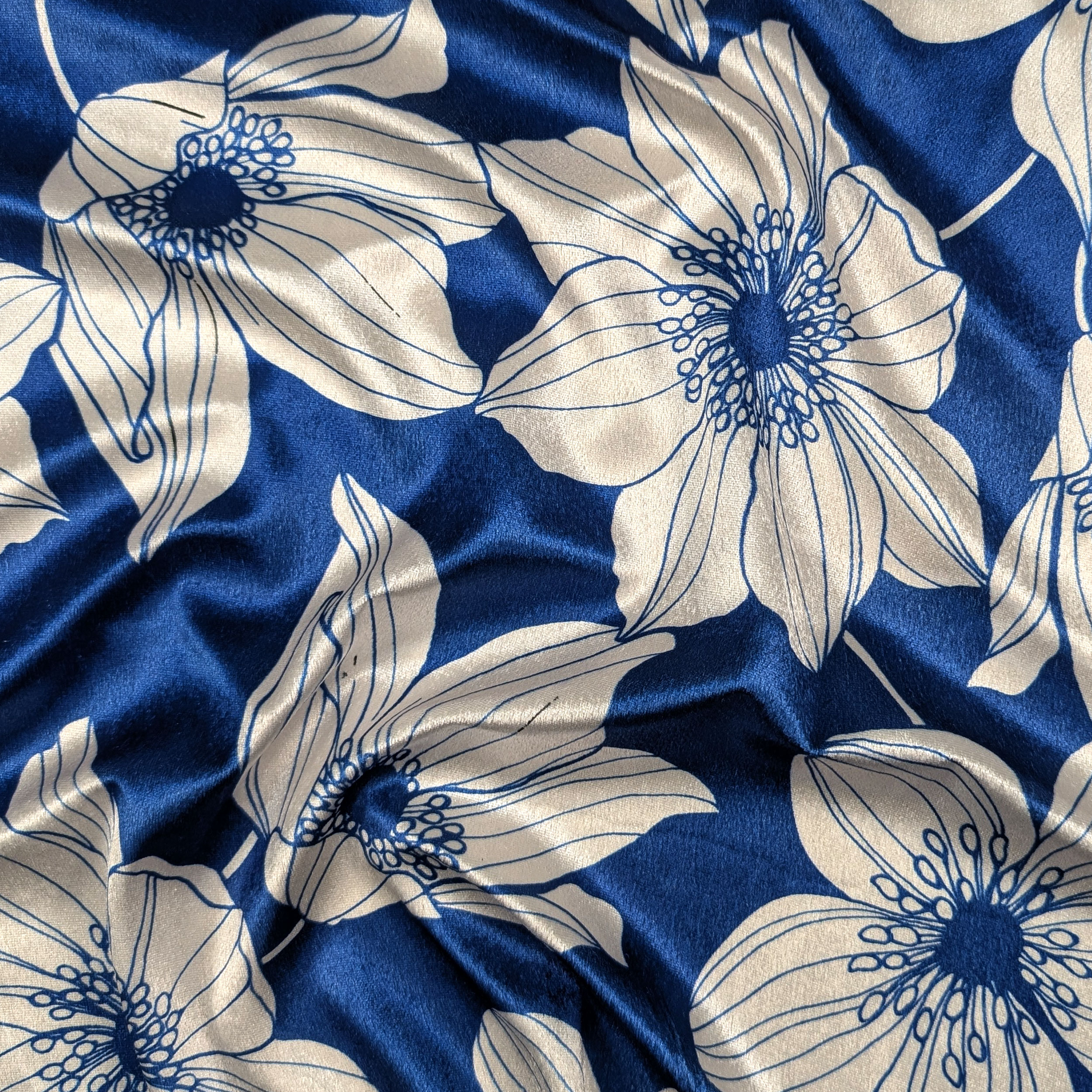 Vellutina Bluette Fiori Moda Bianchi Image