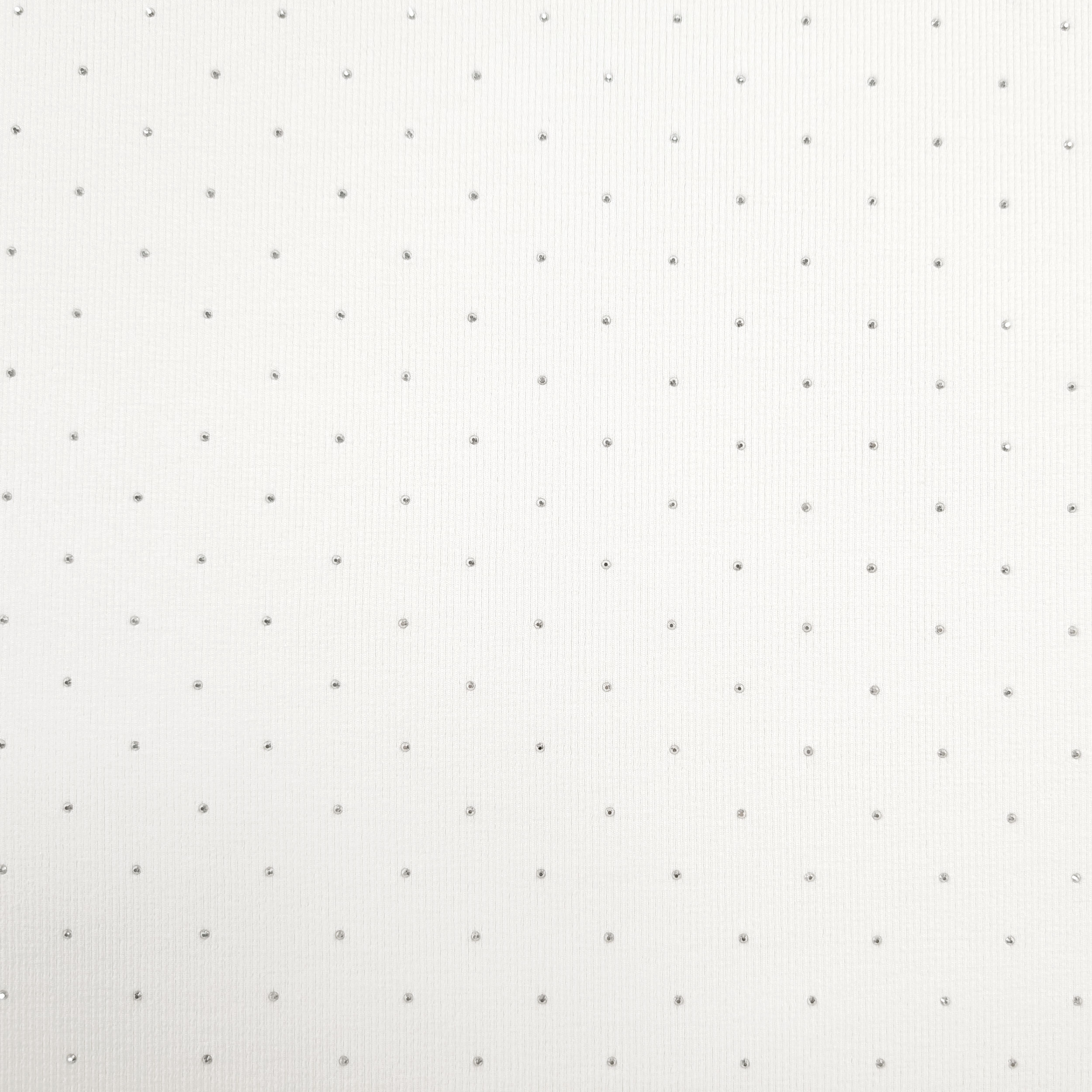 Jersey Cotone Costine Strass Bianco Image
