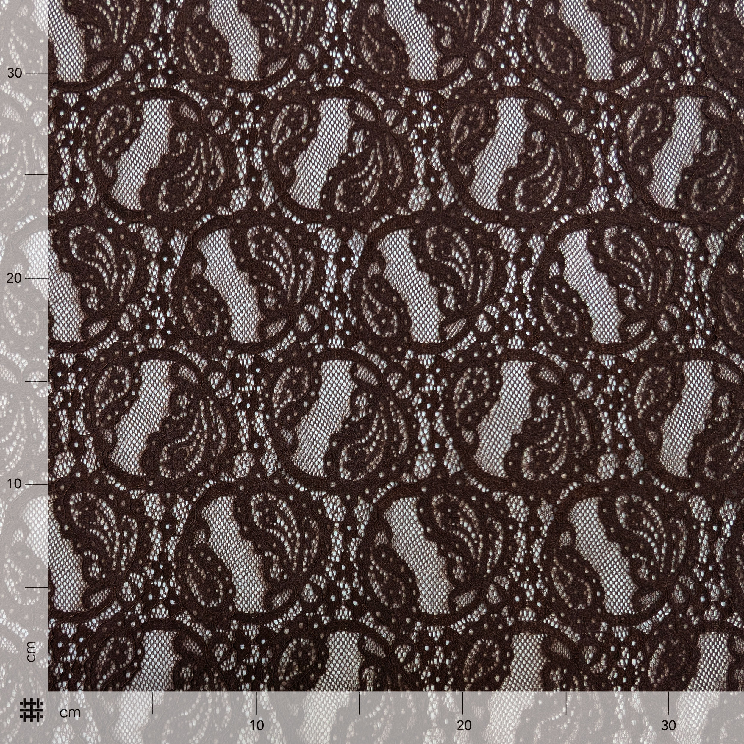 Pizzo Doppio Bordo Bielastico Marrone Image